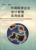 外商投资企业会计管理实用核算