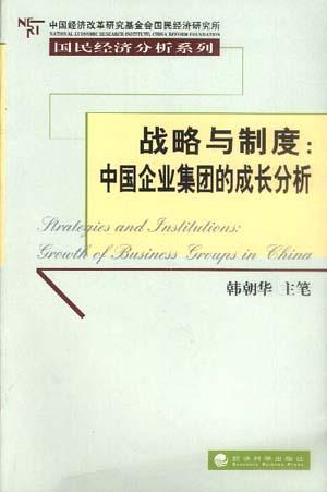 战略与制度：中国企业集团的成长分析