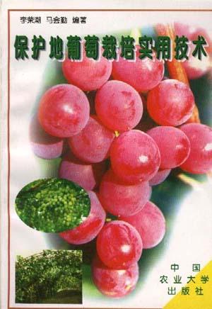 保护地葡萄栽培实用技术