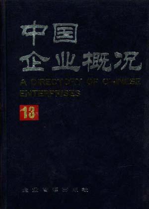 中国企业概况(13)