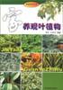 家养观叶植物