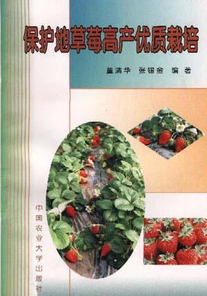 保护地草莓高产优质栽培