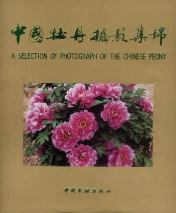 中国牡丹摄影集锦