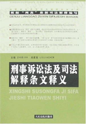 新刑事诉讼法条文释义