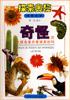 奇怪的飞碟鱼是外星球来的吗-探索奥秘