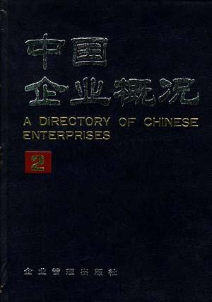 中国企业概况(2)
