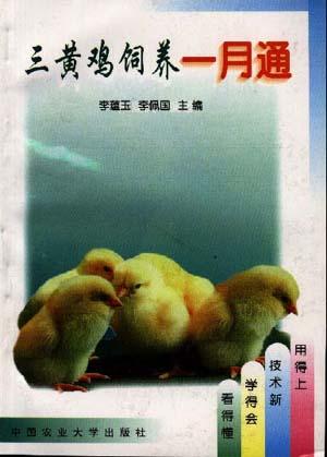 三黄鸡饲养一月通