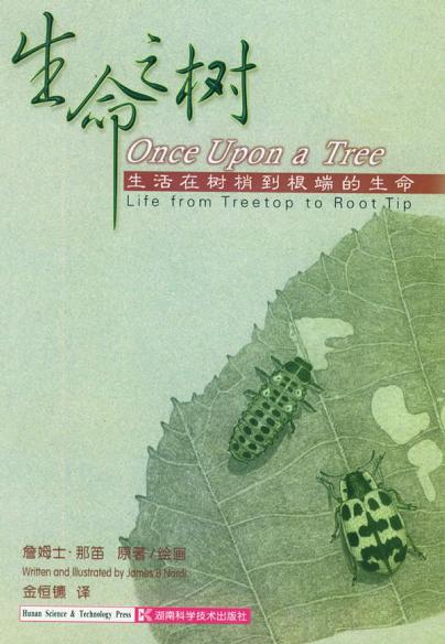 生命之树