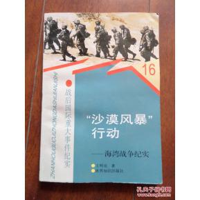 战后国际重大事件纪实丛书:(16)"沙漠风暴”行动--海湾战争纪实