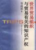 世界贸易组织与贸易有关的知识产权