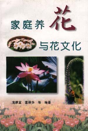家庭养花与花文化