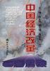 中国经济改革专题透视