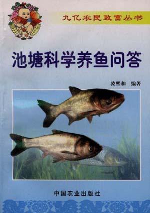 池塘科学养鱼问答