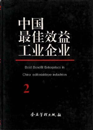 中国最佳效益工业企业(2)