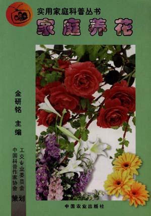 家庭养花