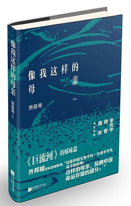 像我这样的母亲