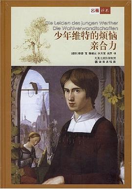少年维特的烦恼 亲合力
