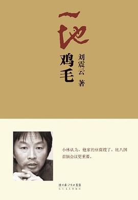 一地鸡毛 一地鸡毛