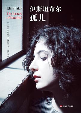 伊斯坦布尔孤儿