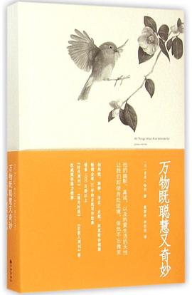 万物既聪慧又奇妙