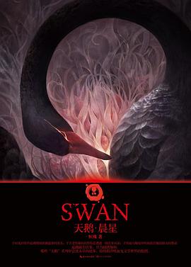 天鹅·晨星