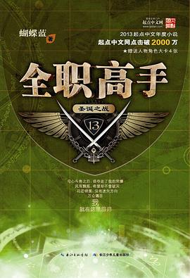 全职高手13·圣诞之战