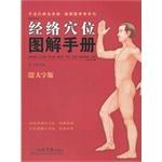 经络穴位图解手册