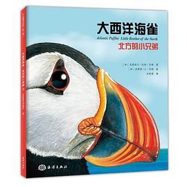 大西洋海雀 : 北方的小兄弟