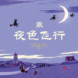 乘夜色飞行