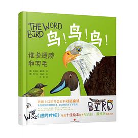 鸟！鸟！鸟！谁长翅膀和羽毛