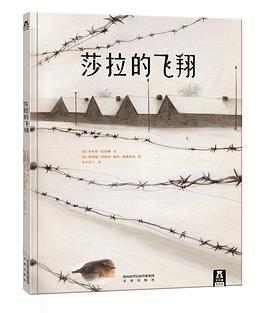 莎拉的飞翔
