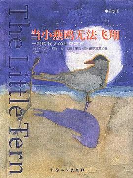 当小燕鸥无法飞翔