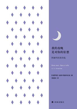 我的夜晚是对你的狂想