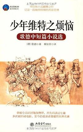 少年维特之烦恼