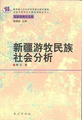 新疆游牧民族社会分析