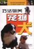 巧法驯养宠物犬