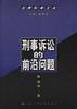 刑事诉讼的前沿问题
