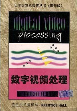 数字视频处理