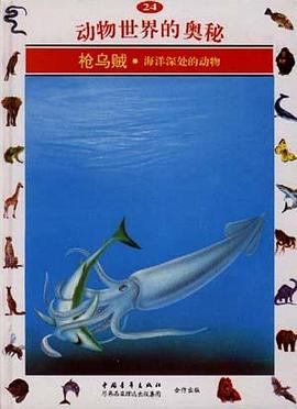 枪乌贼--海洋深处的动物(24)