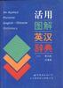 活用图解英汉辞典