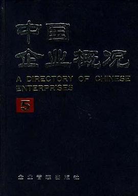 中国企业概况(5)