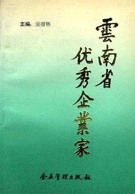 云南省优秀企业家