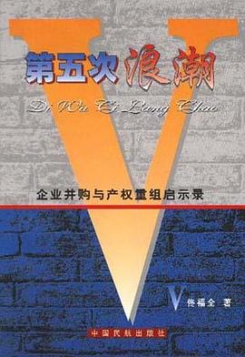 第五次浪潮--企业并购与产权重组启示录
