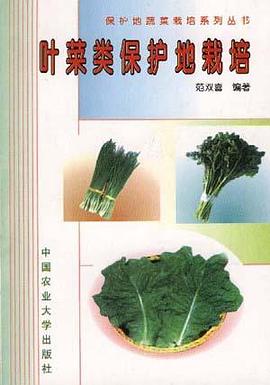 叶菜类保护地栽培