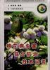棉花病虫害综合防治技术问答