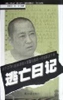 逃亡日记