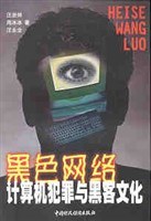 黑色网络-计算机犯罪与黑客文化