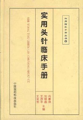 实用头针临床手册