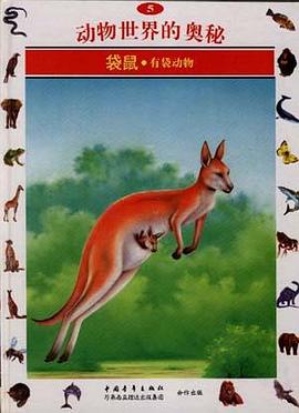 袋鼠--有袋动物(5)
