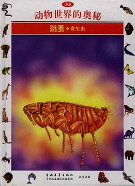 跳蚤--寄生虫(35)